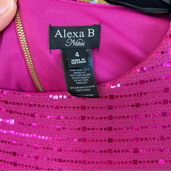 Alexa B. Nites Women's Pink Sparkly Dress Size 4 Boat Neck - Picture 5 of 6